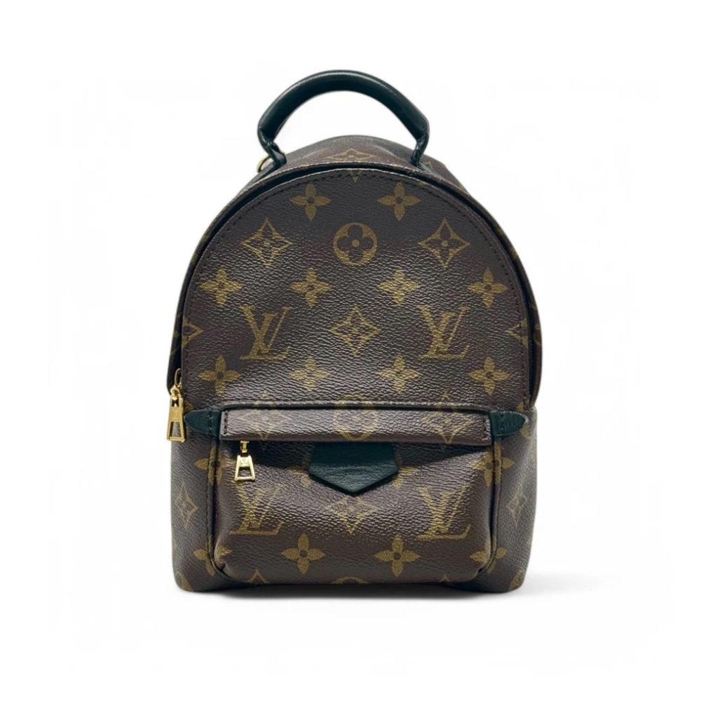 🐱SOLD🐱LOUIS VUITTON PALM SPRINGS MINI